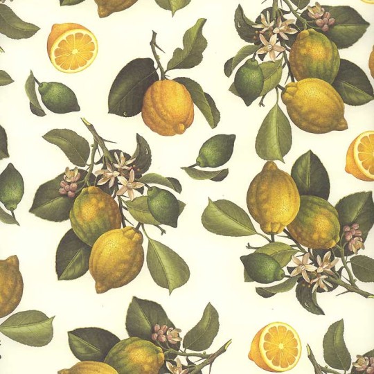 Yellow Lemons Fruit Print Paper ~ Rossi Italy